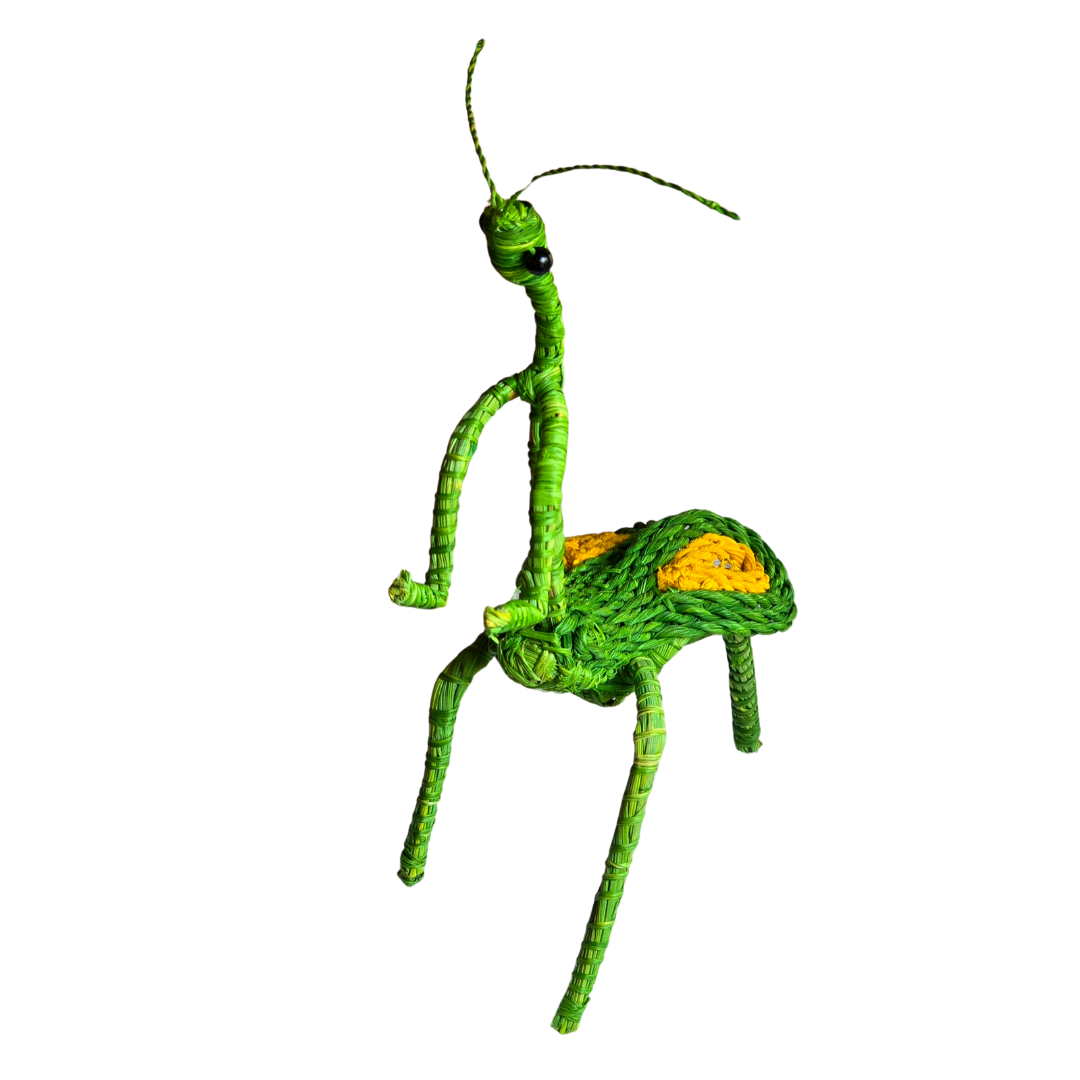 PRAYING MANTIS WOVEN INSECT ORNAMENT - HAND-MADE BY ARTISAN FROM THE PERUVIAN AMAZON - Amazon Ecology