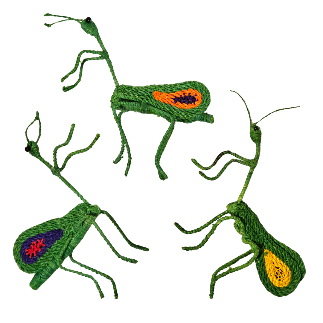 PRAYING MANTIS WOVEN INSECT ORNAMENT - HAND-MADE BY ARTISAN FROM THE PERUVIAN AMAZON - Amazon Ecology
