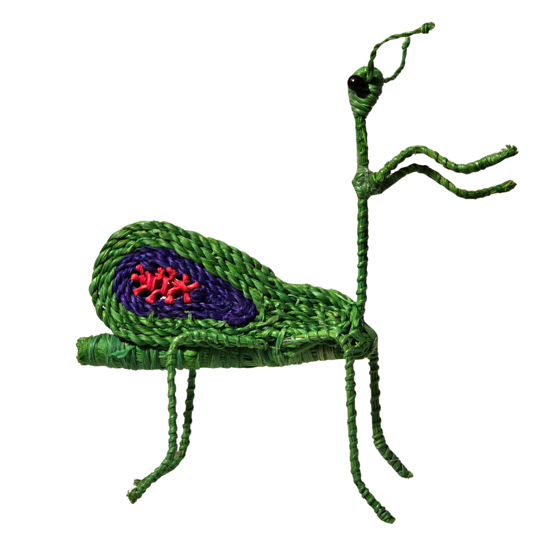 PRAYING MANTIS WOVEN INSECT ORNAMENT - HAND-MADE BY ARTISAN FROM THE PERUVIAN AMAZON - Amazon Ecology