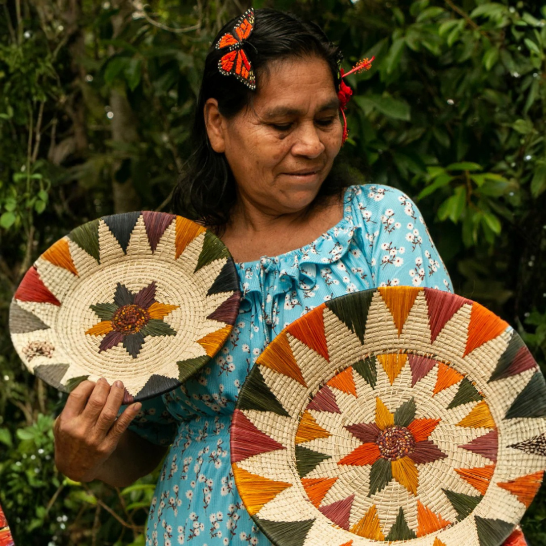 Amazon Ecology