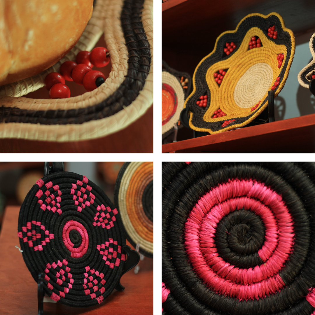 Eco Home Bundle - Amazon Ecology