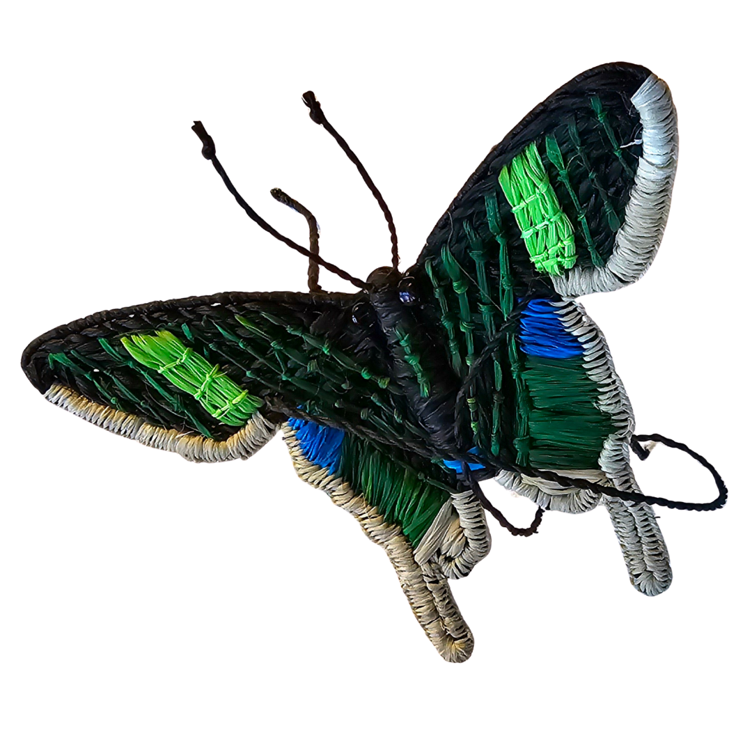 BUTTERFLY WOVEN INSECT ORNAMENT - HAND-MADE BY ARTISAN FROM THE PERUVIAN AMAZON - Amazon Ecology