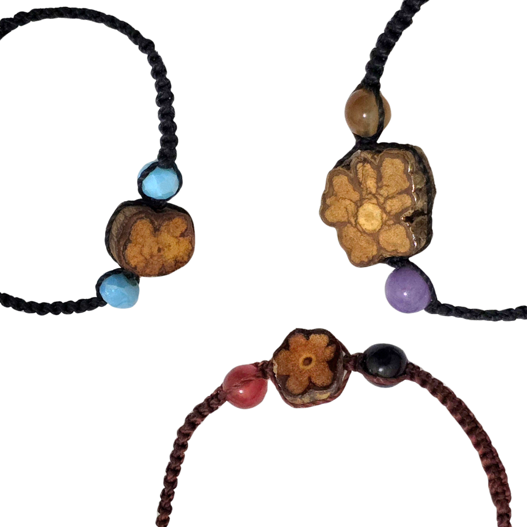 Ayahuasca and bead bracelet - Amazon Ecology