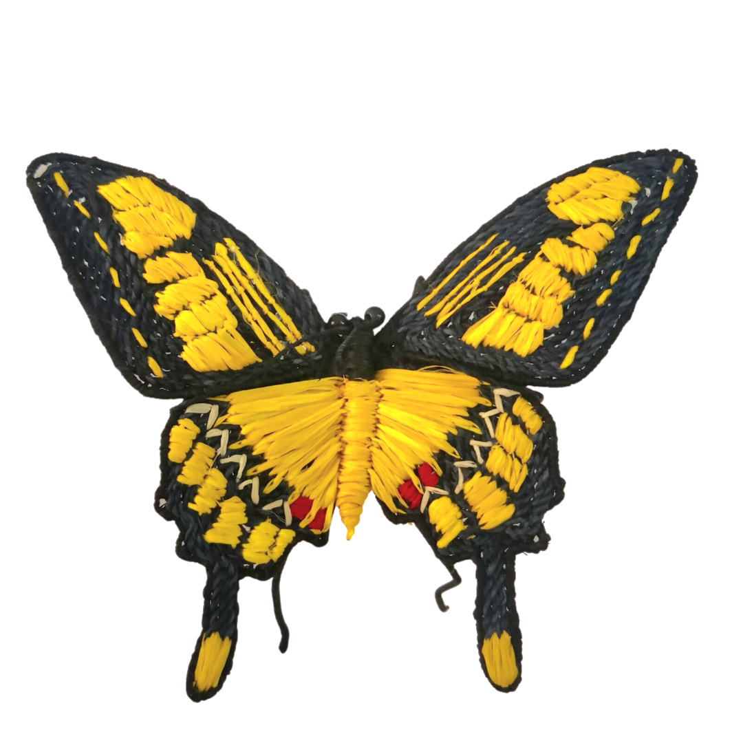 Woven butterfly hair clip barrettes and hat fascinators - Amazon Ecology