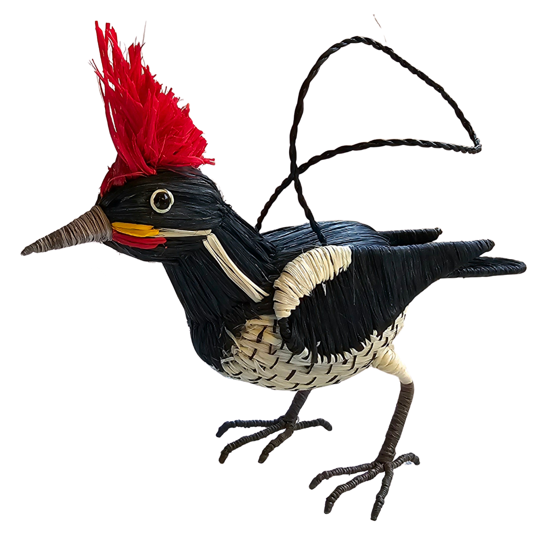 PILEATED WOODPECKER BIRD WOVEN ORNAMENT - HANDMADE BY PERUVIAN AMAZON ARTISAN - Amazon Ecology