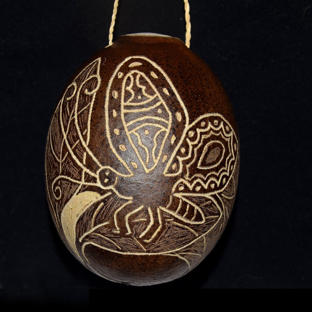 Calabash Christmas tree ornament and hand rattle - assorted insects and invertebrates - Amazon Ecology