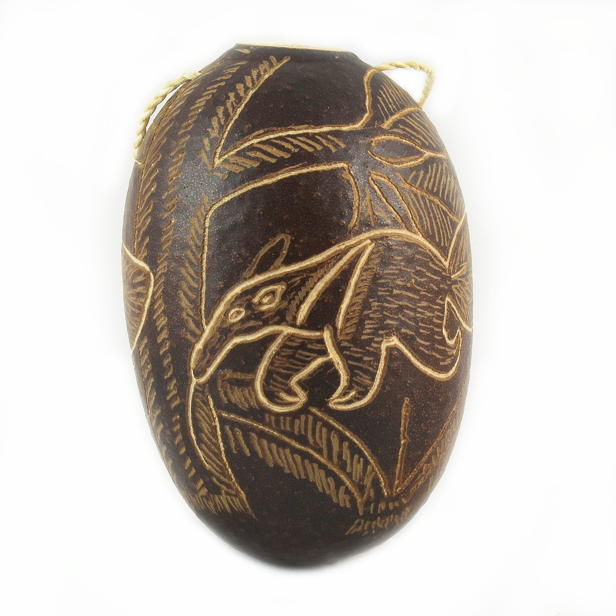 Anteater Mammal Calabash Christmas tree ornament and hand rattle - Amazon Ecology