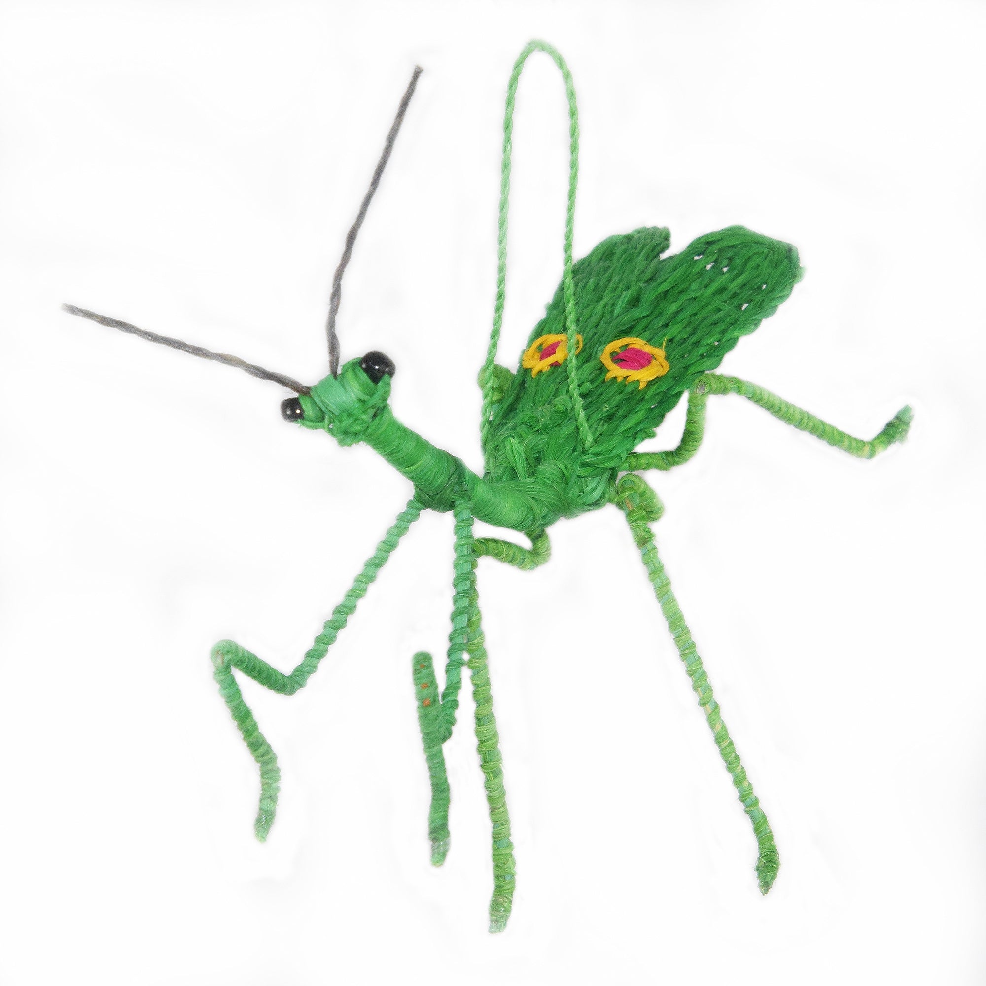 Wholesale: Favorite Insects - 16 Ornaments from 11 Species - Amazon Ecology
