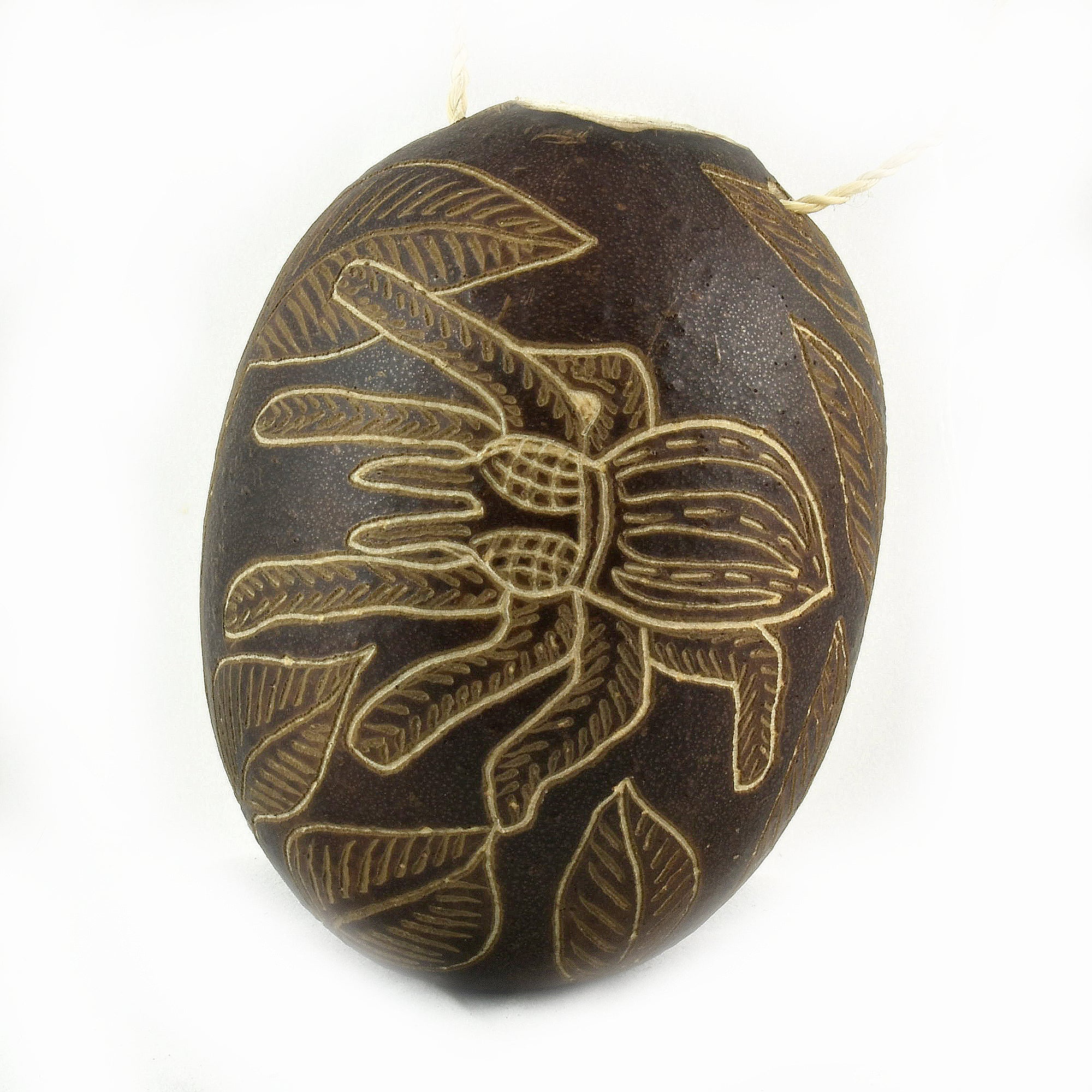 Spider Calabash Christmas tree ornament and hand rattle - Amazon Ecology