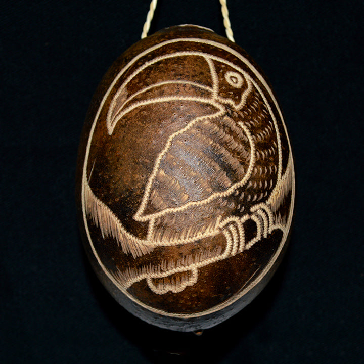 Toucan and Aracari Bird Calabash Christmas tree ornament and hand rattle - Amazon Ecology
