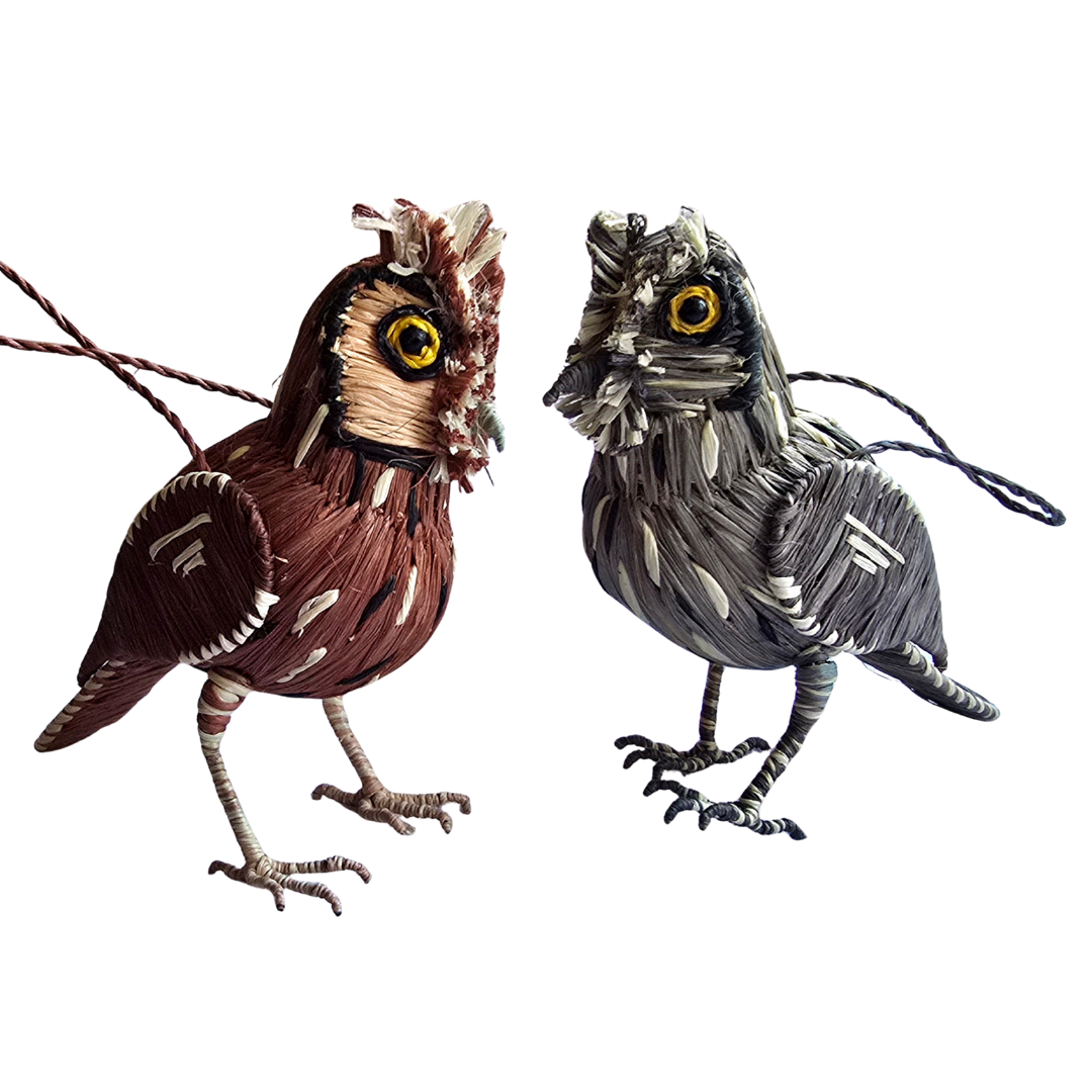 SCREECH OWL BIRD FAIR -TRADE ORNAMENT AND DECORATION- WOVEN BY PERUVIAN AMAZON ARTISAN - Amazon Ecology