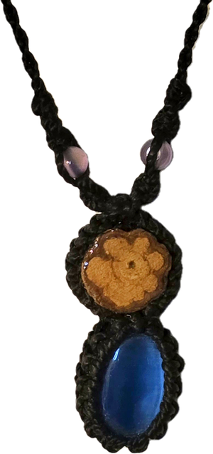 Ayahuasca vine and tiger eye macrame necklace