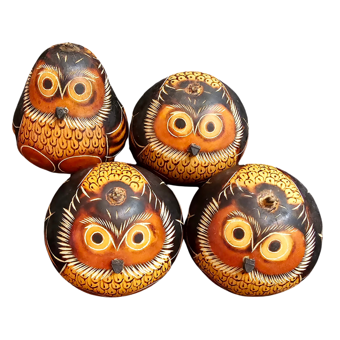 Owl Bird Calabash Gourd decoration and ornament