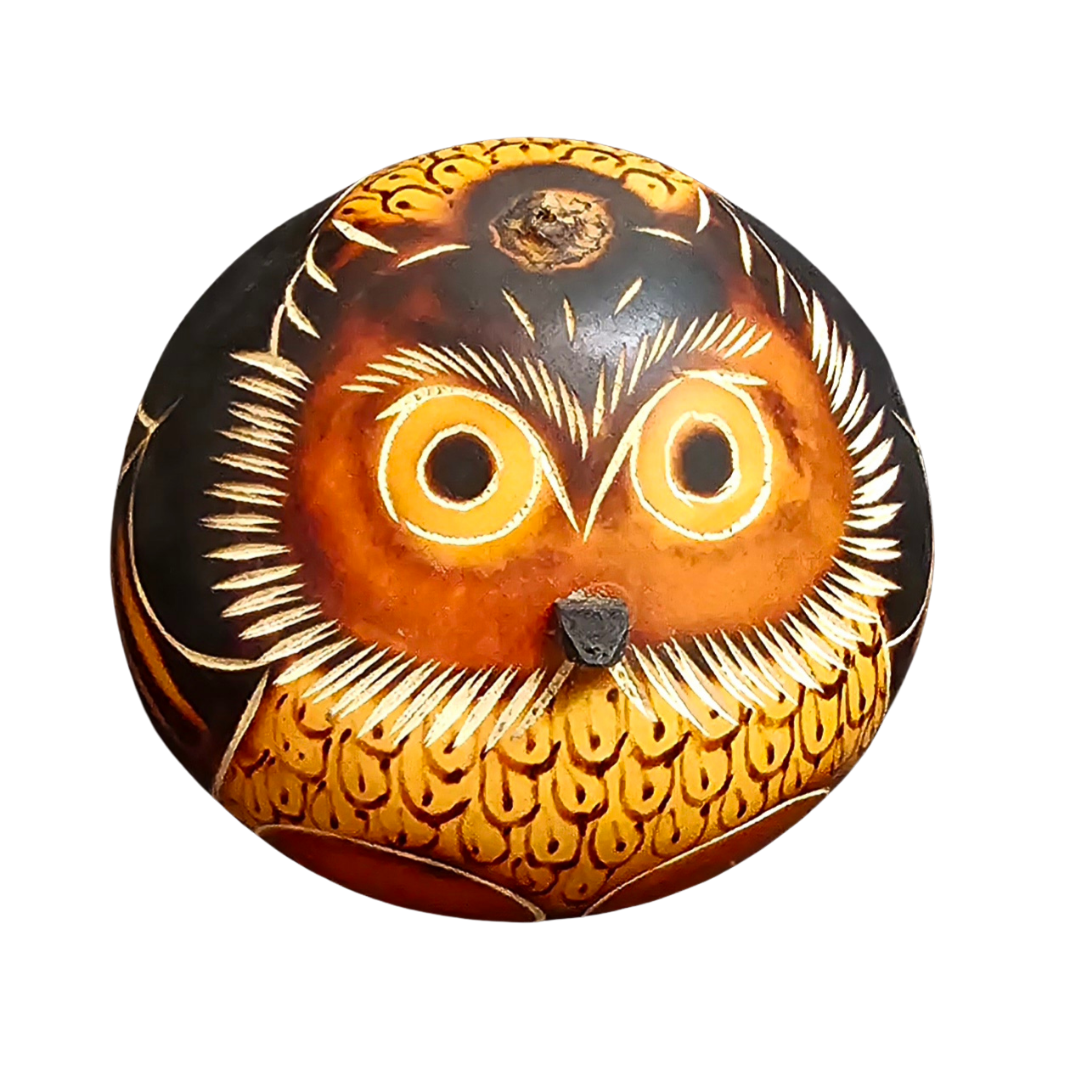 Owl Bird Calabash Gourd decoration and ornament