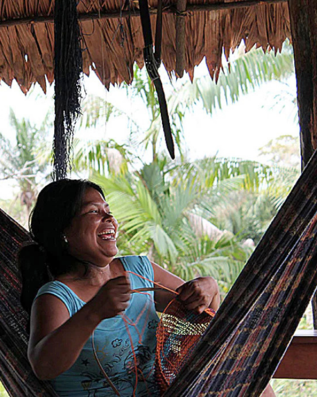 Amazon Ecology