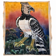 Harpy eagle painting on llanchama tree bark canvas by indigenous Huitoto artisans from the Peruvian Amazon (Copy) (Copy)