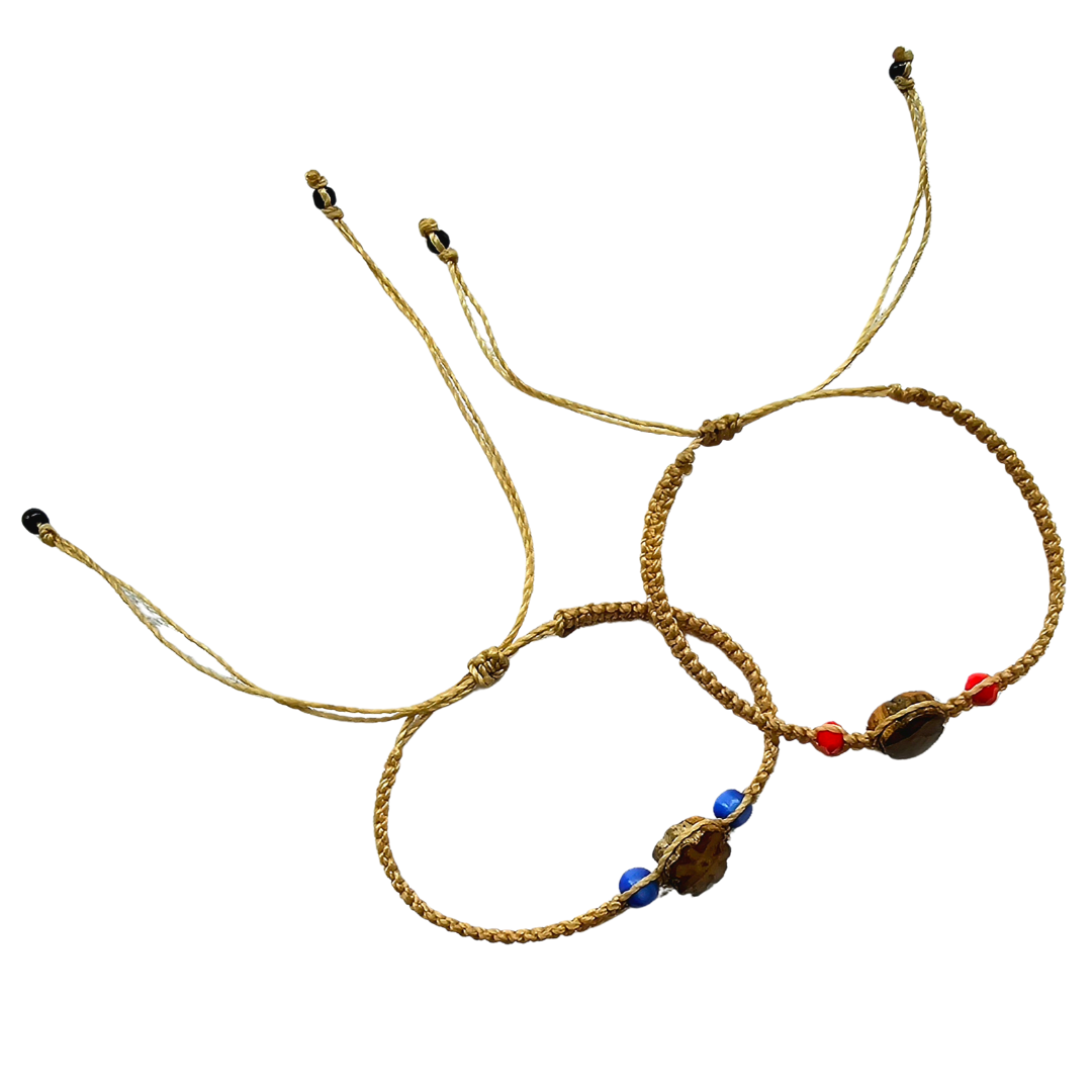 Ayahuasca and bead bracelet - Amazon Ecology