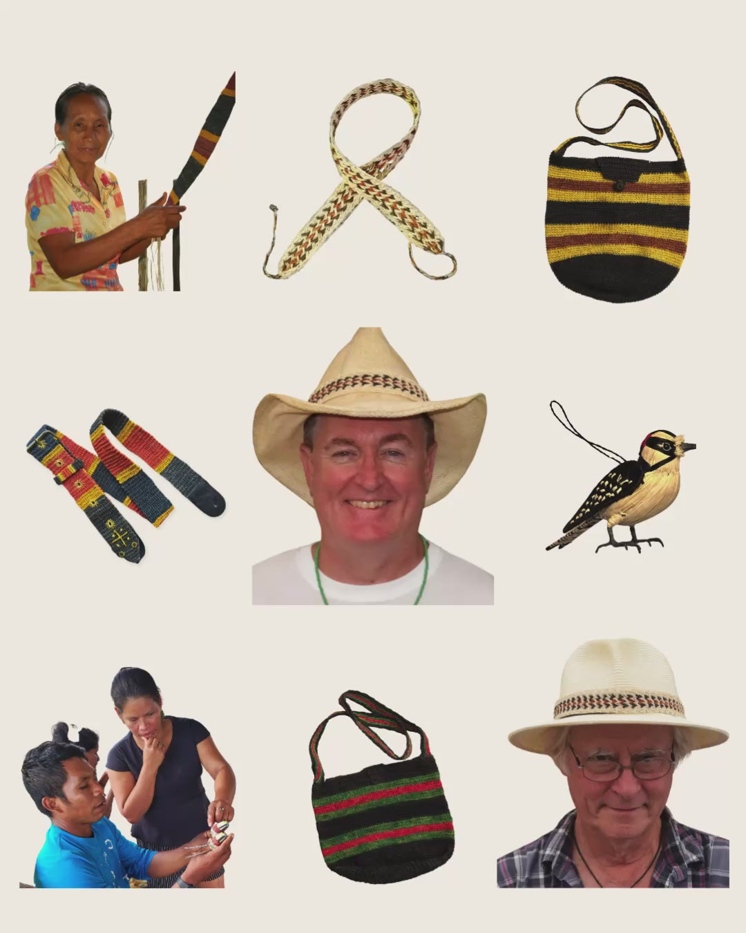 Amazon Ecology