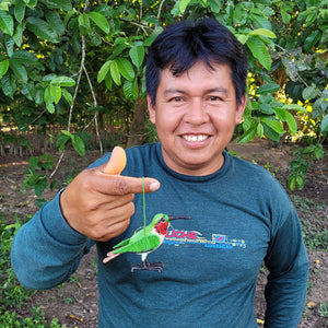 RUBY-THROATED HUMMINGBIRD - FAIR TRADE CHRISTMAS TREE ORNAMENT - WOVEN BY PERUVIAN AMAZON ARTISAN