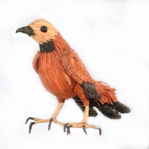 BLACK-COLLARED HAWK BIRD - FAIR-TRADE CHRISTMAS TREE ORNAMENT - WOVEN BY PERUVIAN AMAZON ARTISAN