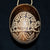Calabash Christmas tree ornament and hand rattle - assorted reptiles, amphibians and fish