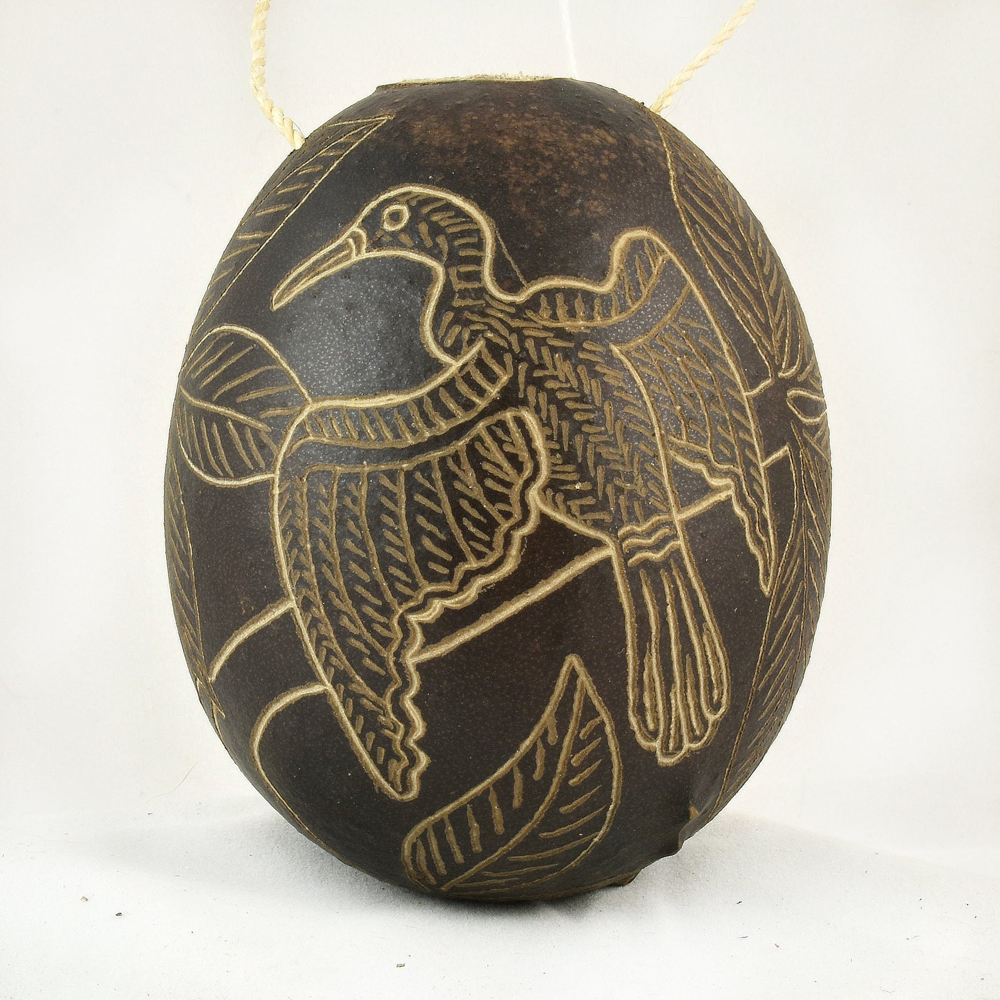Anhinga Bird Calabash Christmas tree ornament - Amazon Ecology