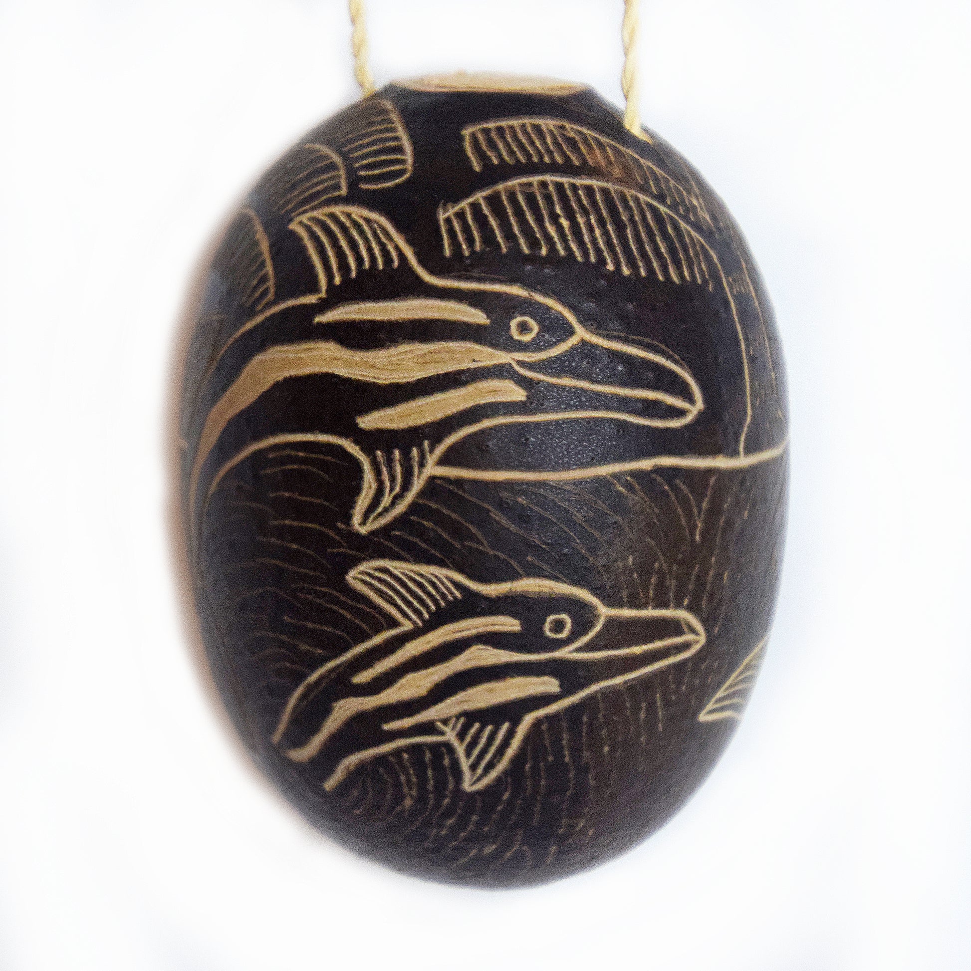 Dolphin Mammal Calabash Christmas tree ornament - Amazon Ecology