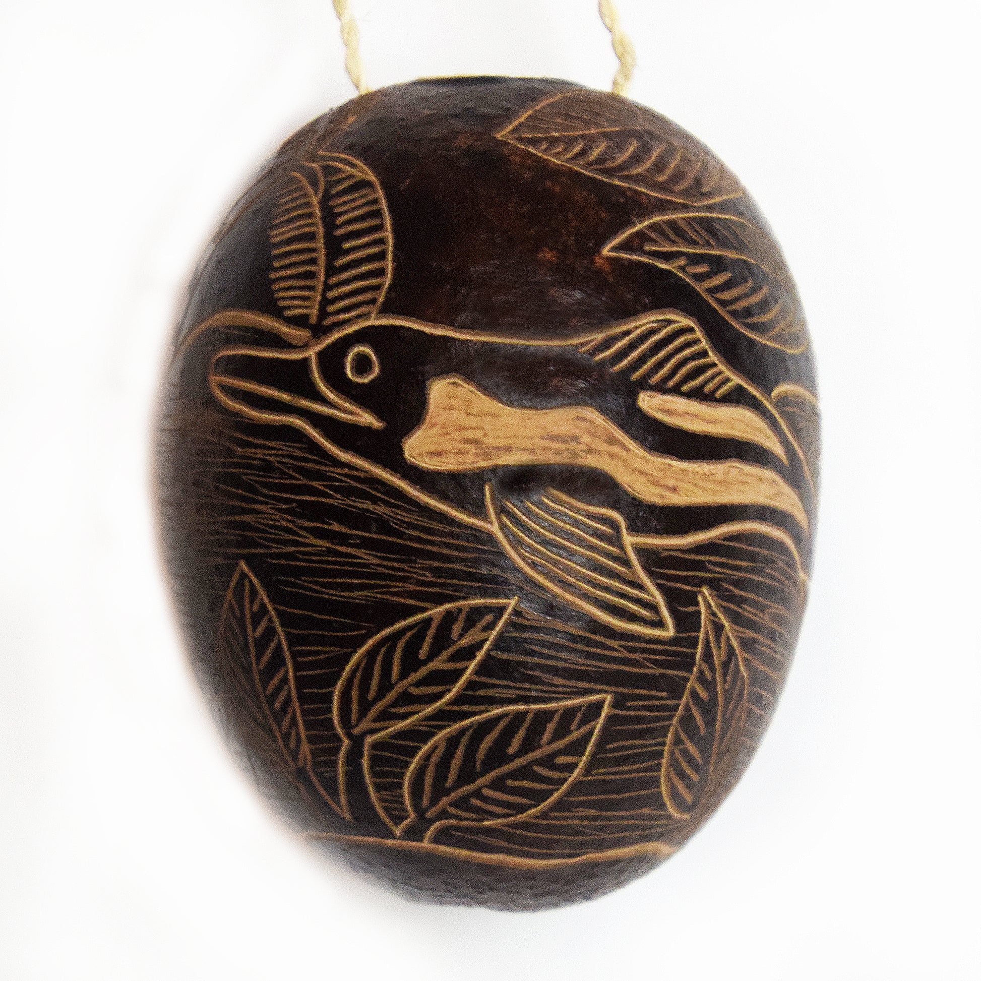 Dolphin Mammal Calabash Christmas tree ornament - Amazon Ecology