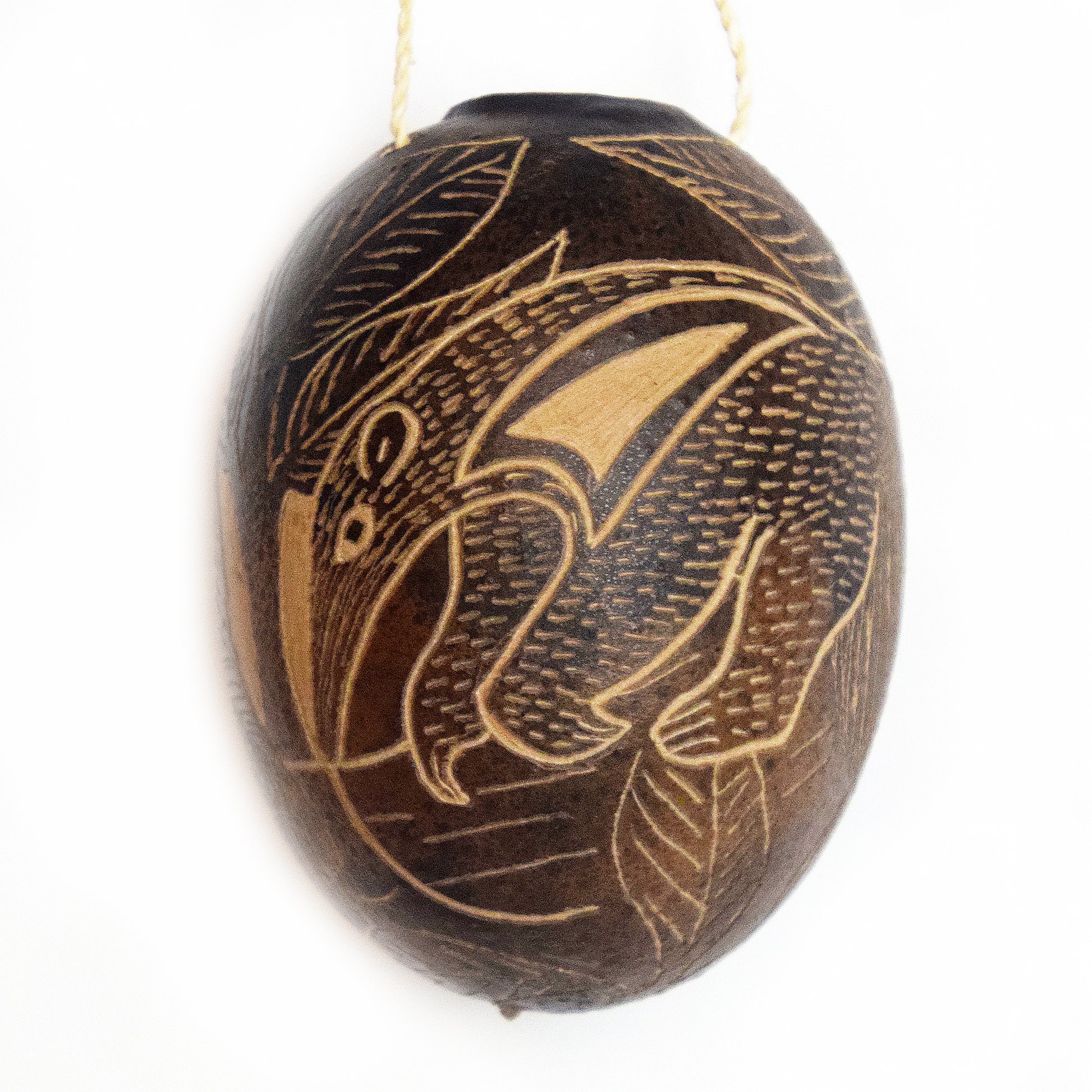 Anteater Mammal Calabash Christmas tree ornament - Amazon Ecology