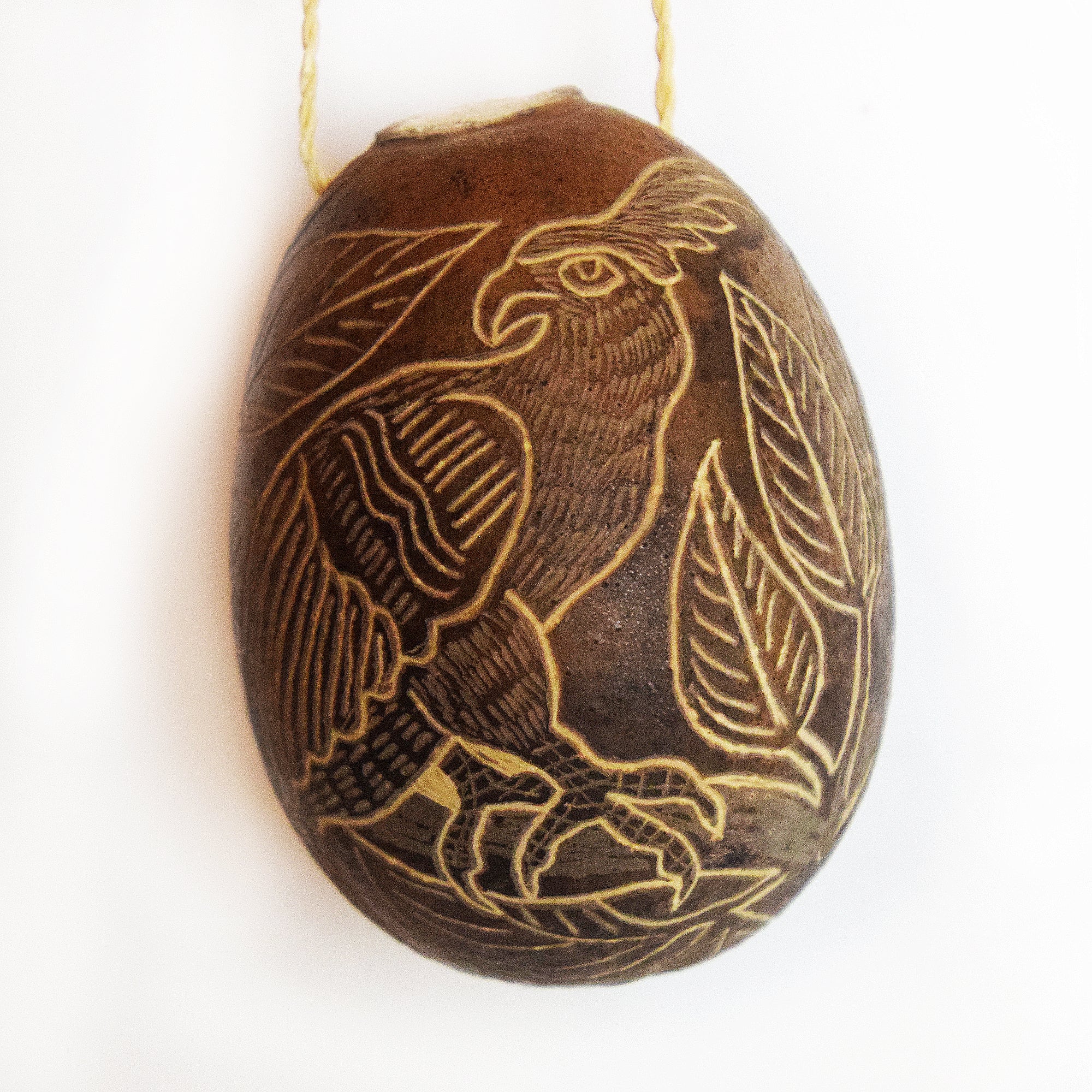 Hawk Eagle Bird Calabash Christmas tree ornament and hand rattle - Amazon Ecology