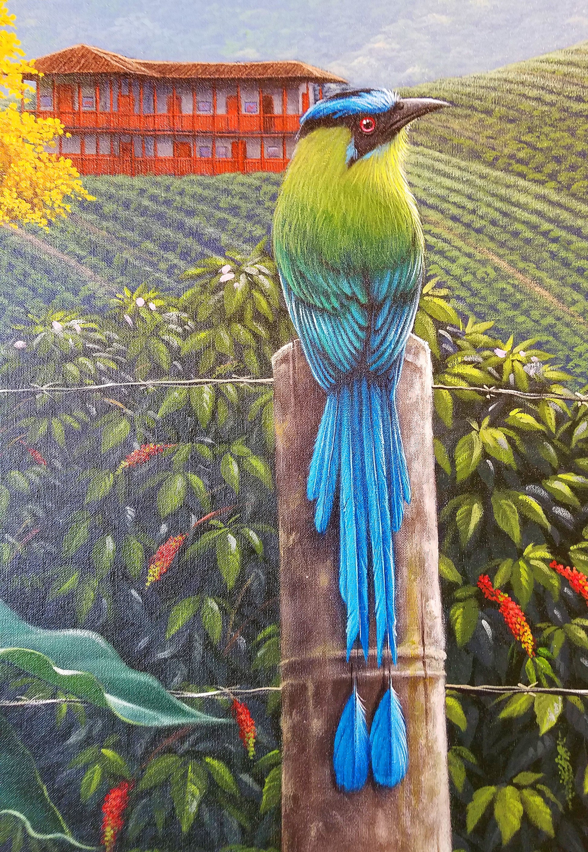 FAIR -TRADE CHRISTMAS TREE BIRD ORNAMENT - BLUE-CROWNED MOTMOT - WOVEN BY PERUVIAN AMAZON ARTISAN - Amazon Ecology