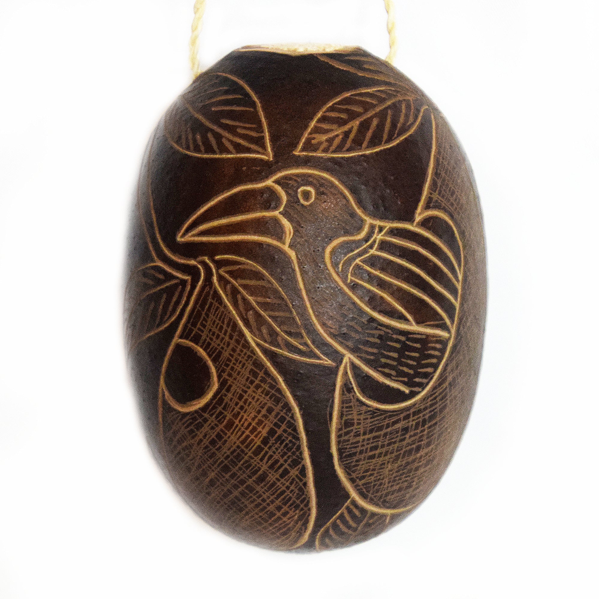 Cacique and Oropendola Bird Calabash Christmas tree ornament and hand rattle - Amazon Ecology