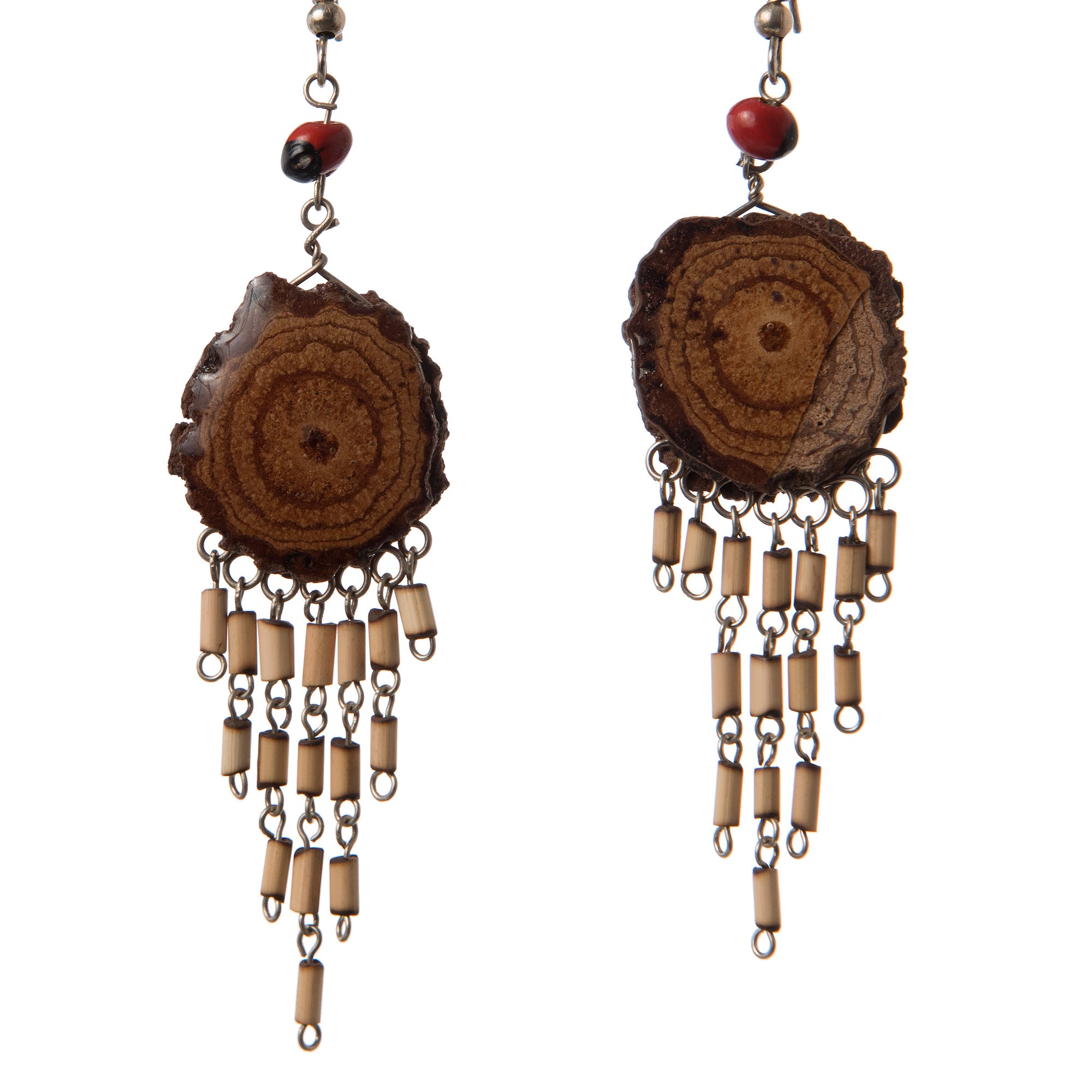 Sapo Huasca and Rainforest Vine Earrings, Large Size